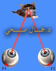 مركز الاتحاد 
Fusional System